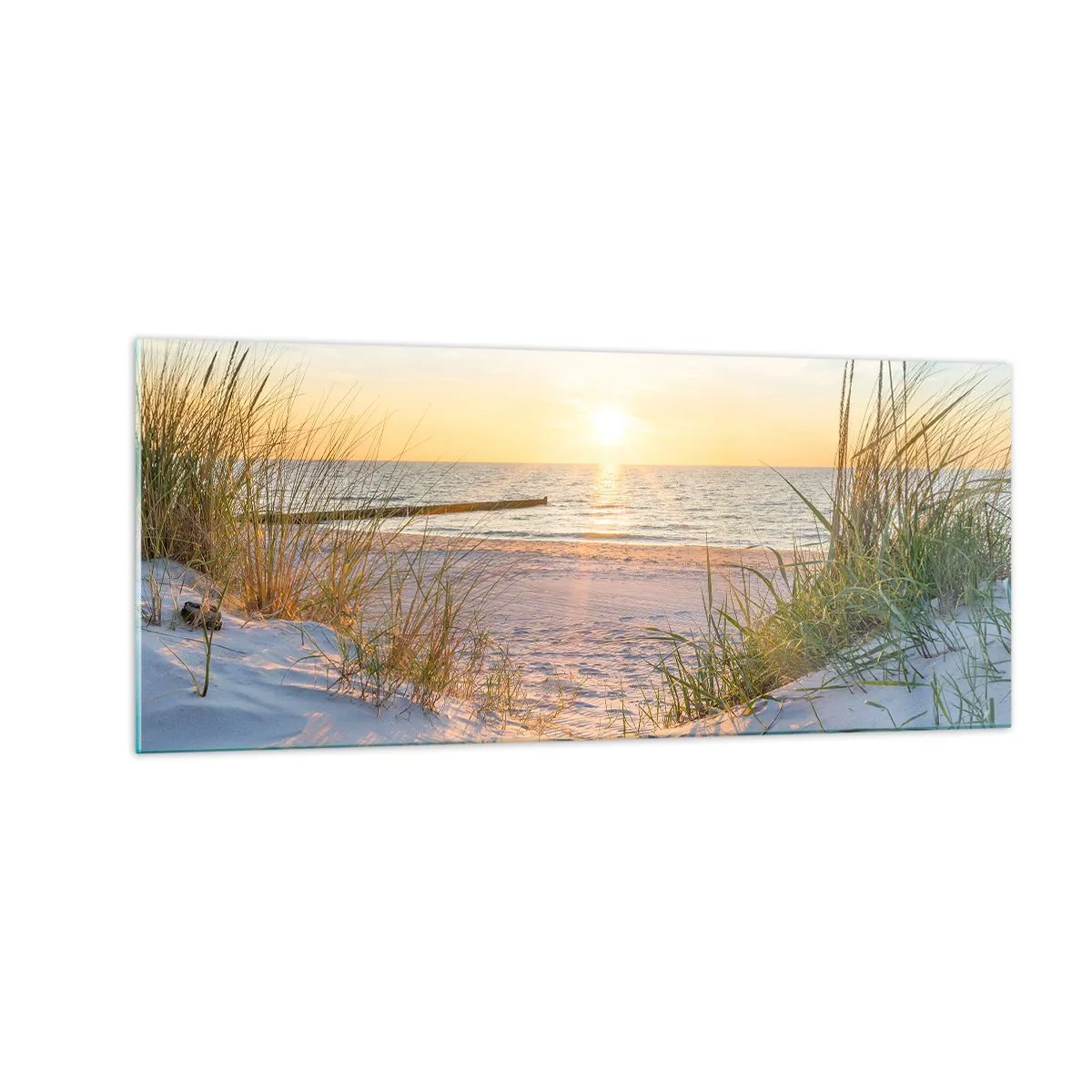 Billede på glas - Havet brummer, fuglene synger, en vild strand midt i græsset.... - 100x40 cm