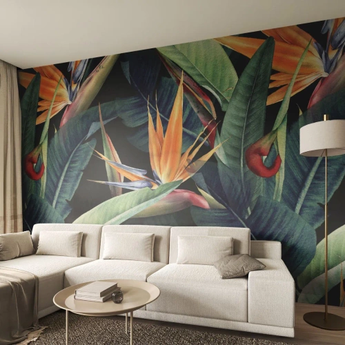 Fototapet Premium Sand - Flammeblomster i troperne - Strelitzia Royal, Blomst, Afrika - 100x70 cm