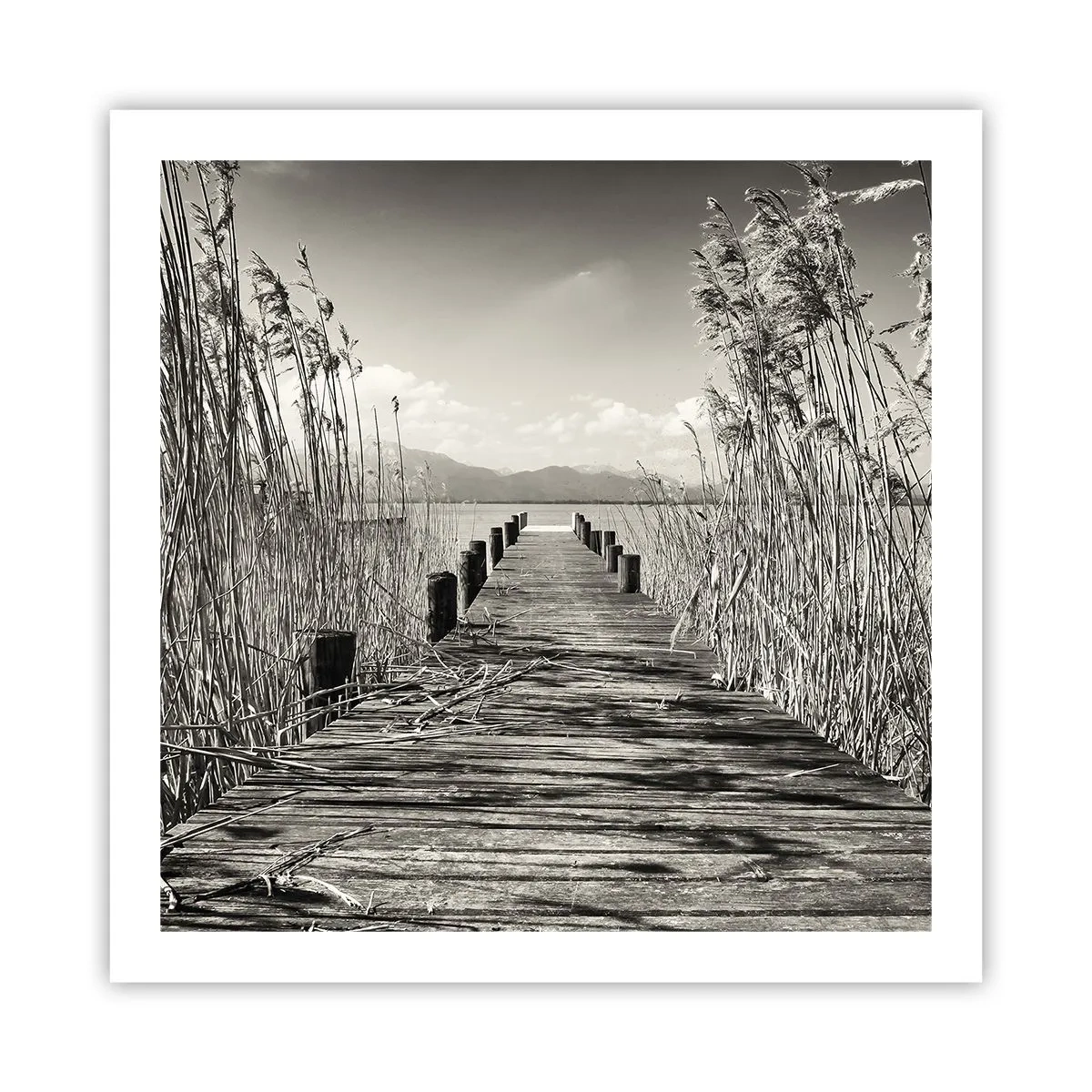 Plakat - I græssernes fred - 60x60 cm