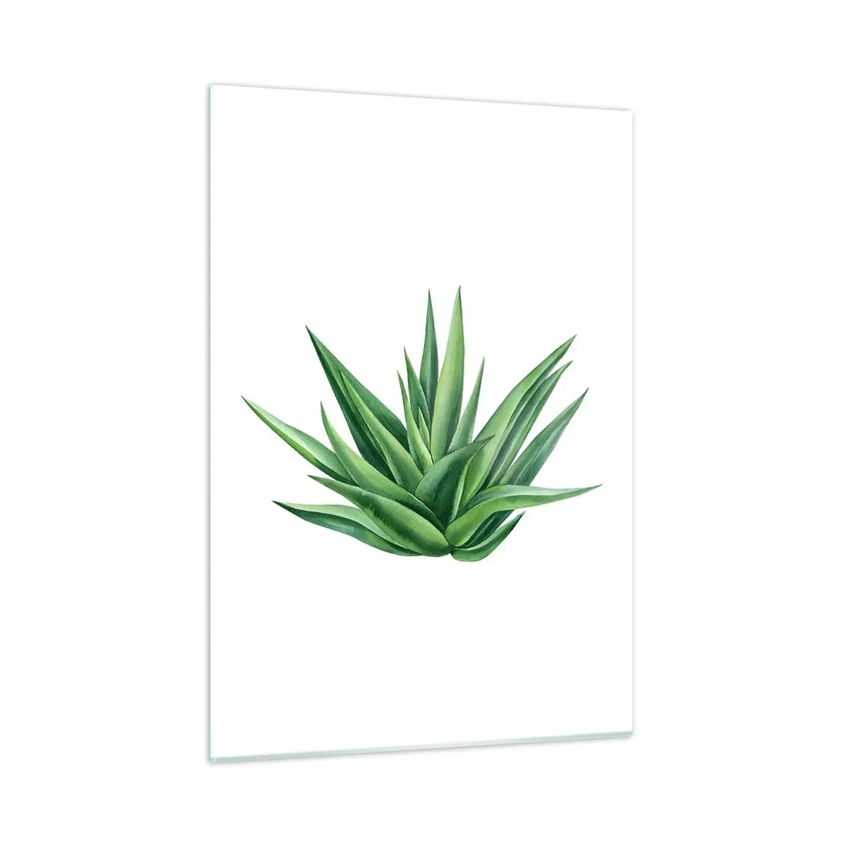 Billede på glas - Grøn - styrke - liv - 50x70 cm