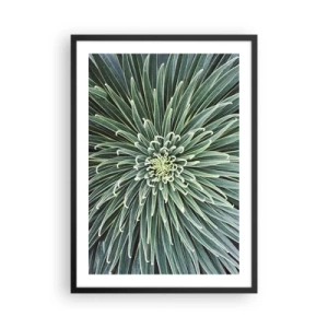 Plakat i sort ramme - Et nærbillede af en grøn plante med symmetriske blade. - 50x70cm - En stjernes fødsel - Moderne vægdekoration til stue og soveværelse ARTTOR