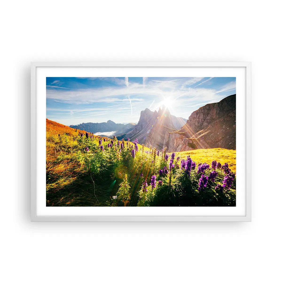 Plakat i hvid ramme - Urternes hemmelige liv - 70x50 cm