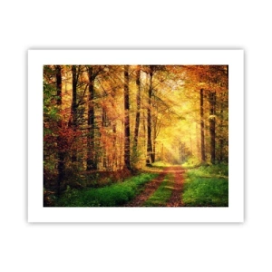 Plakat - Skovgylden stilhed - 50x40 cm