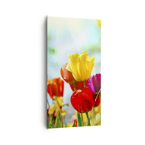 Lærredstryk - Billede på lærred - Alle solens farver - 65x120 cm