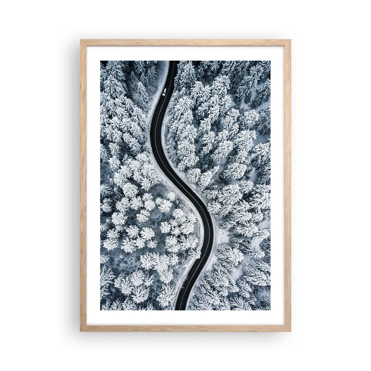 Plakat i ramme af lyst egetræ - Gennem en vinterskov - 50x70 cm