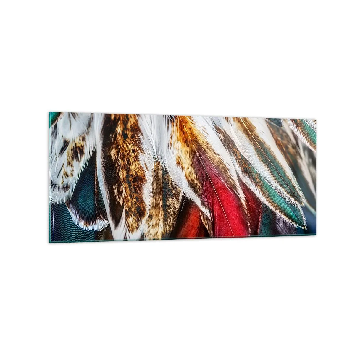 Billede på glas - Flyvningens hemmeligheder - 120x50 cm
