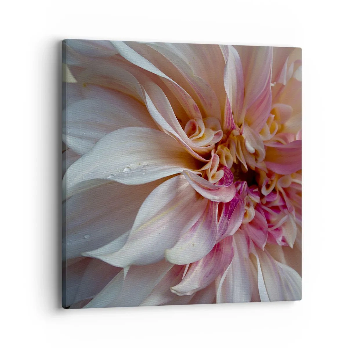 Lærredstryk - Billede på lærred - Blomstrende friskhed - 40x40 cm