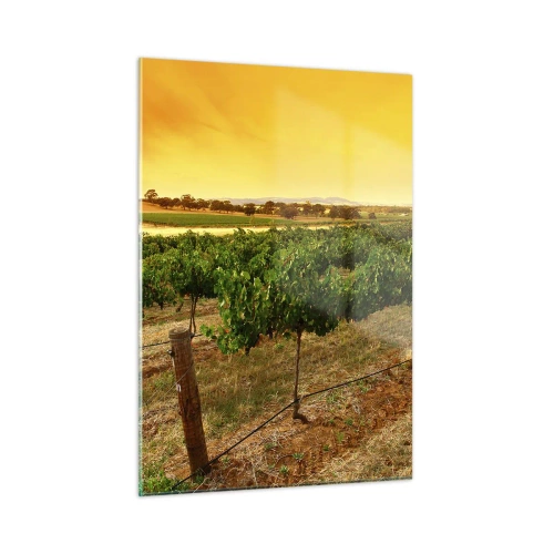 Billede på glas - Drik solen - 50x70 cm