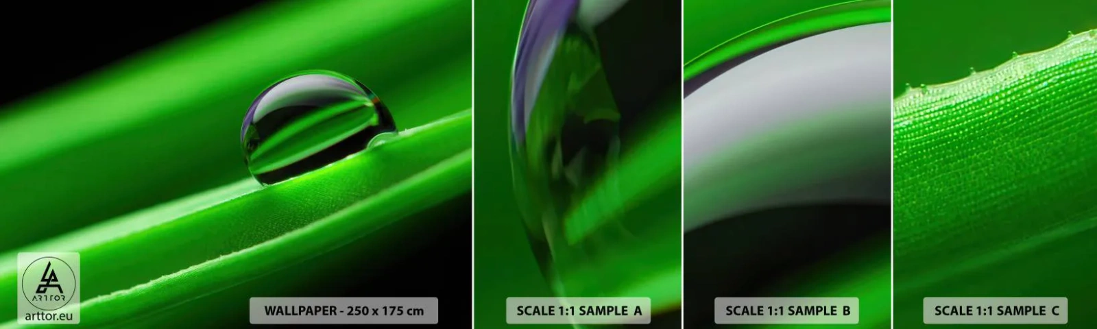 Fototapet Prøve Standard Eco - Livet på tæt hold - Abstraktion, Grafik, En dråbe vand - 100x30 cm