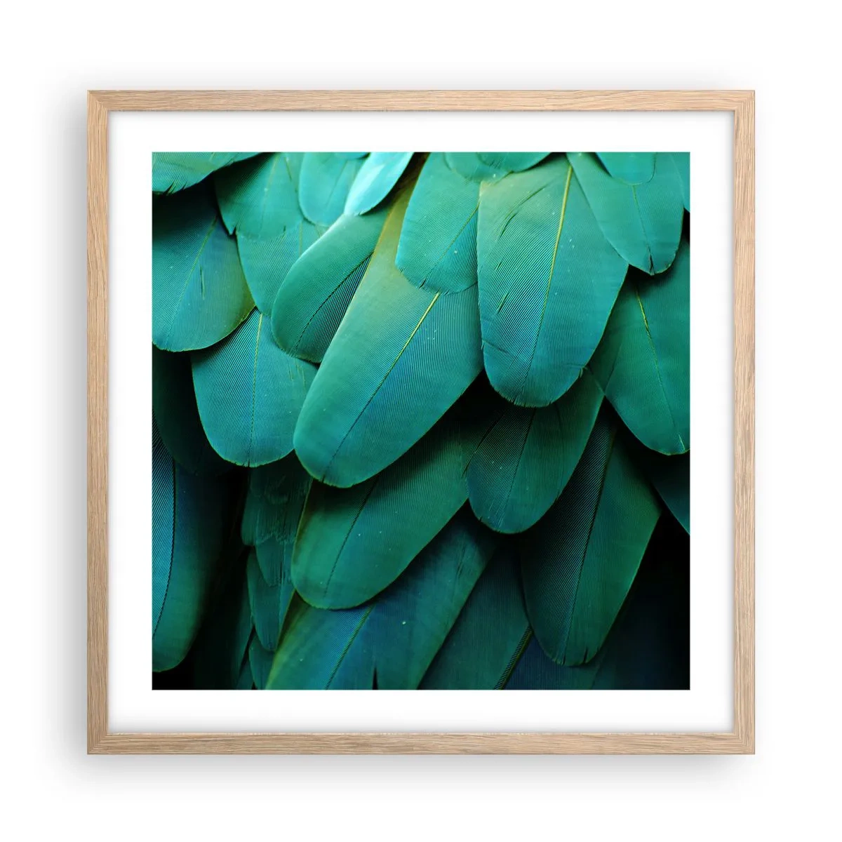 Plakat i ramme af lyst egetræ - Papegøjenaturens præcision - 50x50 cm