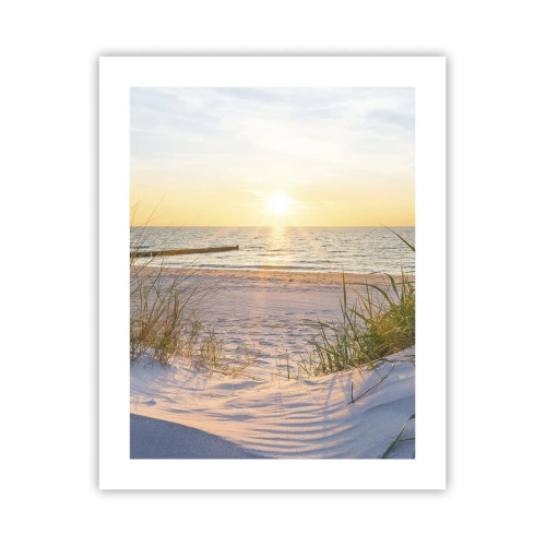 Plakat - Havet brummer, fuglene synger, en vild strand midt i græsset.... - 40x50 cm