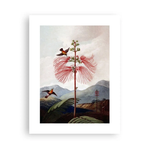 Plakat - I et tropisk paradis - 30x40 cm