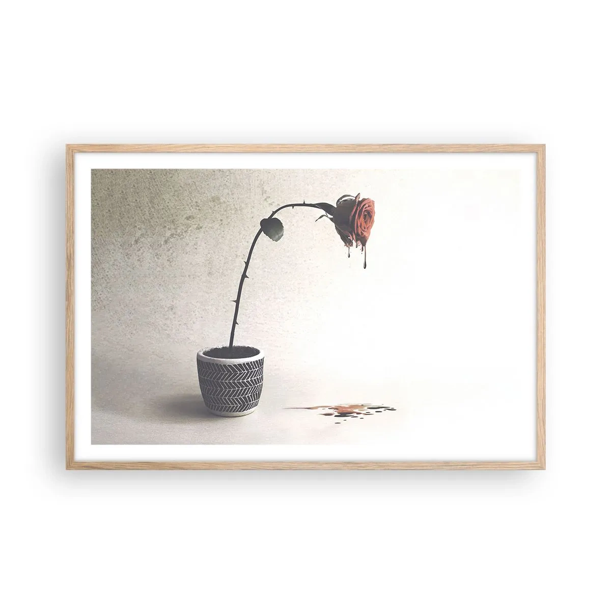 Plakat i ramme af lyst egetræ - Rosa dolorosa - 91x61 cm