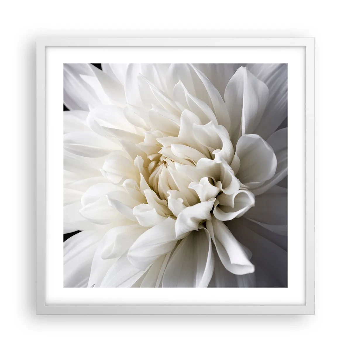 Plakat i hvid ramme - Morgenbrud - 50x50 cm