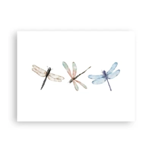 Plakat - Vægtløse guldsmede - 40x30 cm