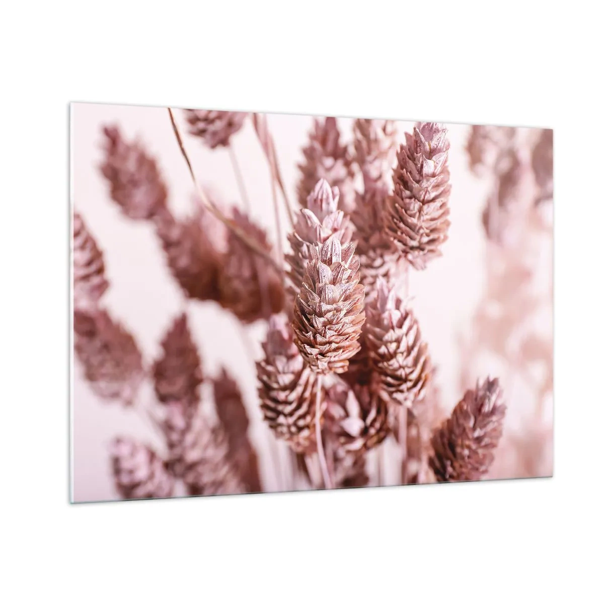 Billede på glas - Tilsyneladende ubemærket - 100x70 cm