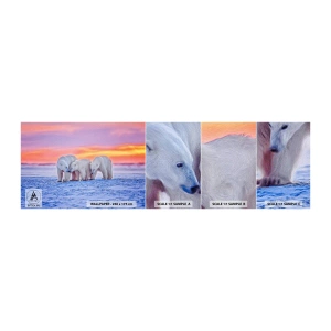 Prøve Fototapet Selvklæbende Deluxe Sticker - Familievarme er nok - Dyr, Isbjørn, Sne - 100x30 cm