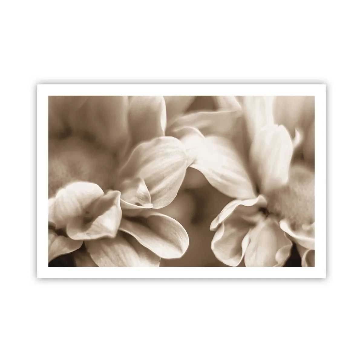 Plakat - Blid som et smil - 91x61 cm