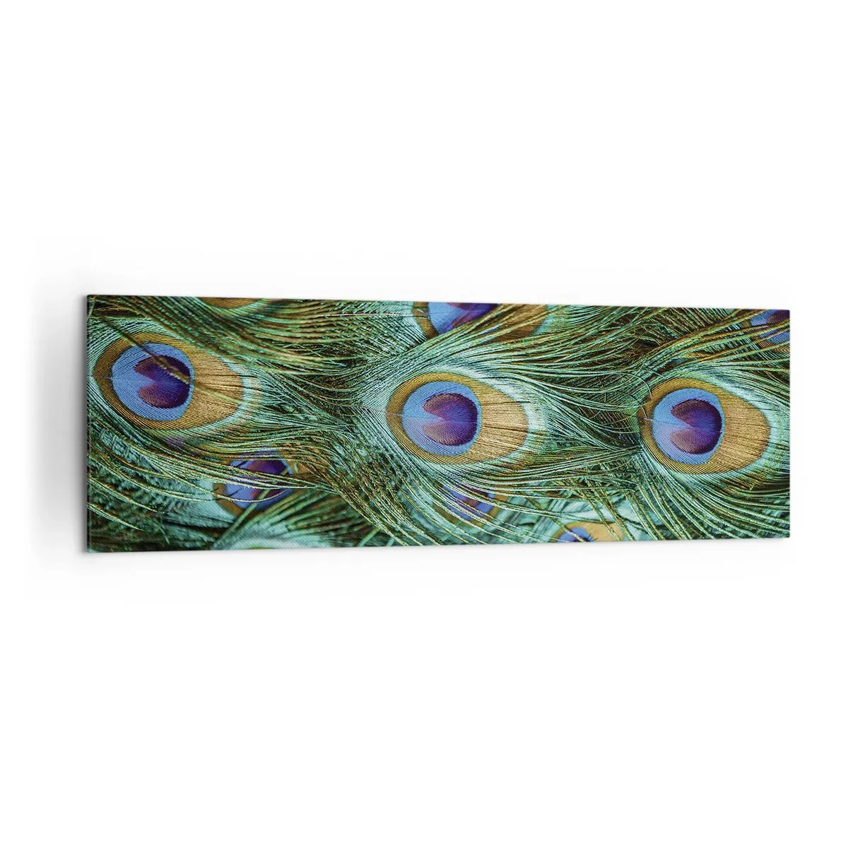 Lærredstryk - Billede på lærred - En påfugls blik - 160x50 cm