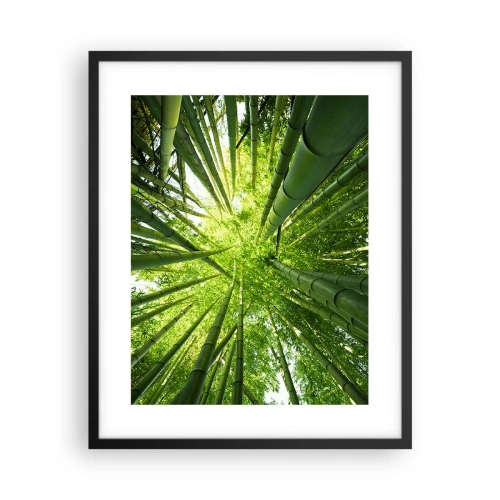 Plakat i sort ramme - I en bambuslund - 40x50 cm