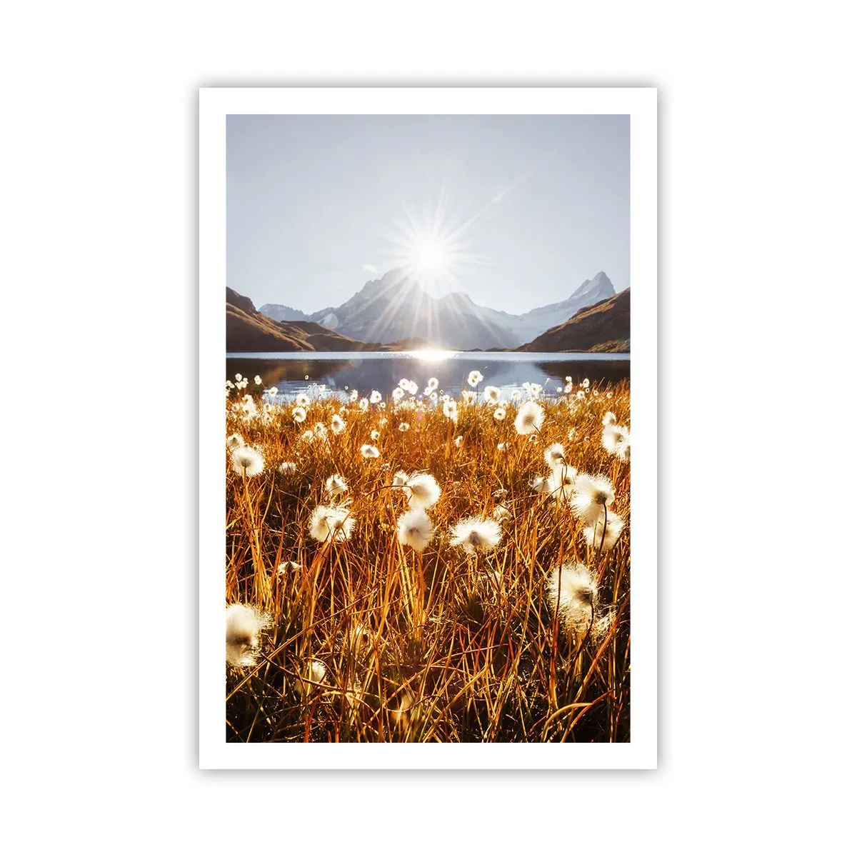 Plakat - Hårdhed af sten, blødhed af græs - 61x91 cm
