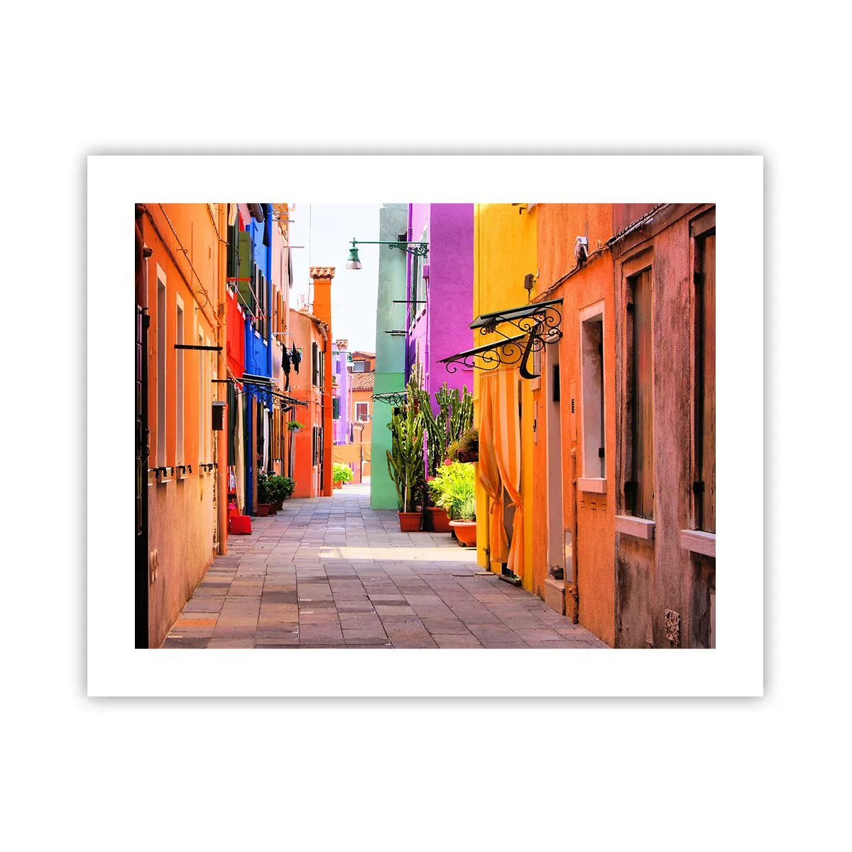 Plakat - Regnbue gyde - 50x40 cm