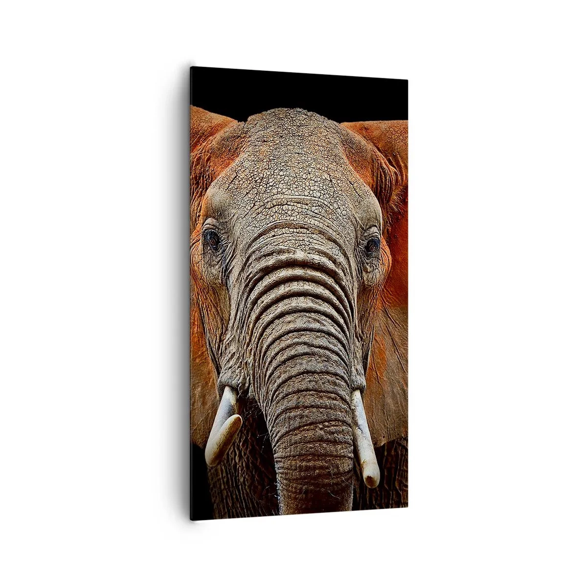 Lærredstryk - Billede på lærred - Jeg er vild, er du? - 65x120 cm