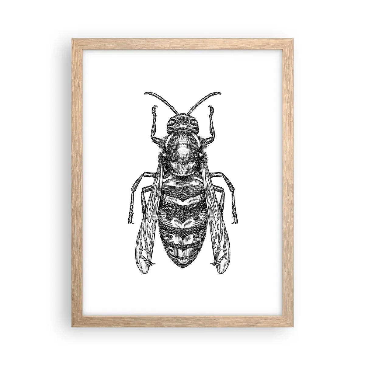 Plakat i ramme af lyst egetræ - Fra en insektplanet - 30x40 cm