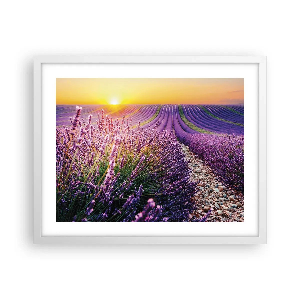 Plakat i hvid ramme - Duftende plet - 50x40 cm