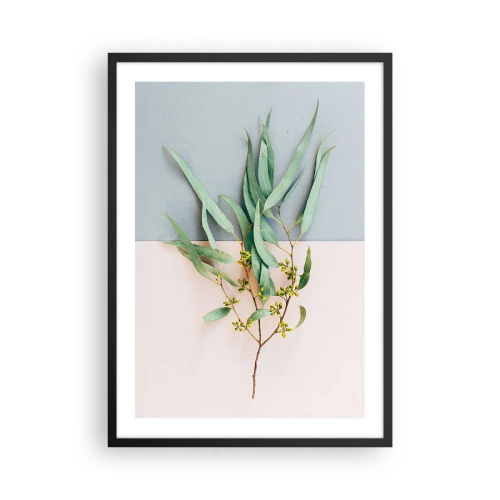 Plakat i sort ramme - En kvist eukalyptus på en pastelfarvet baggrund - 50x70cm - Pastelfarvernes subtilitet - Moderne vægdekoration til stue og soveværelse ARTTOR