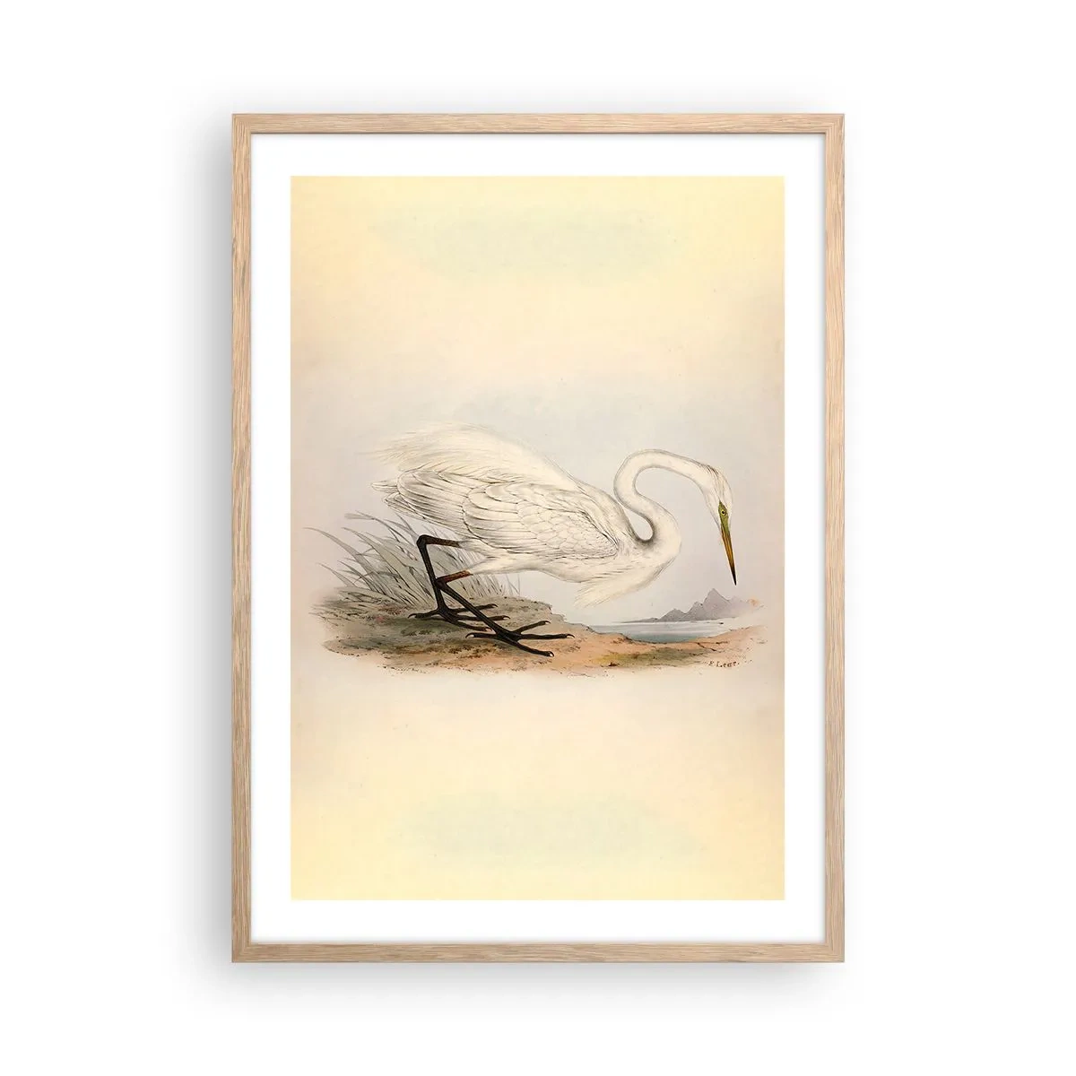 Plakat i ramme af lyst egetræ - Dame på sivene - 50x70 cm