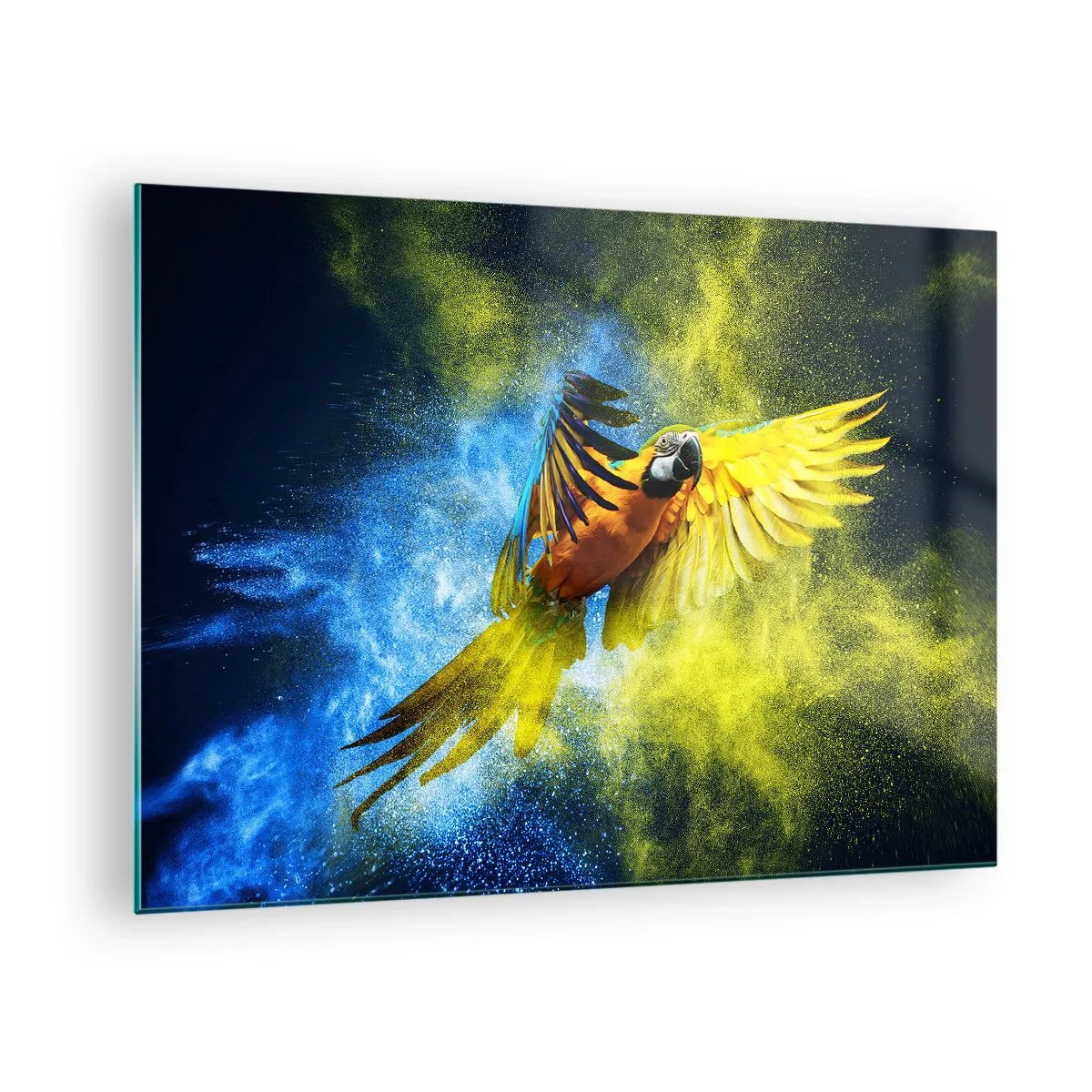 Billede på glas - En farverig papegøje i flugt mod en gul og blå baggrund - 70x50cm - I det blå-gyldne støv - Moderne vægdekoration til stue og soveværelse ARTTOR