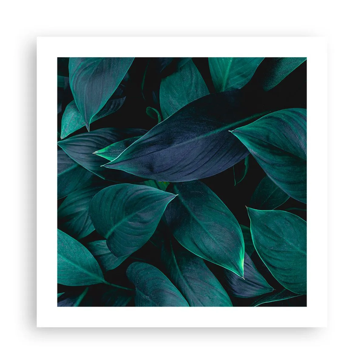 Plakat - Grønt i sig selv - 50x50 cm