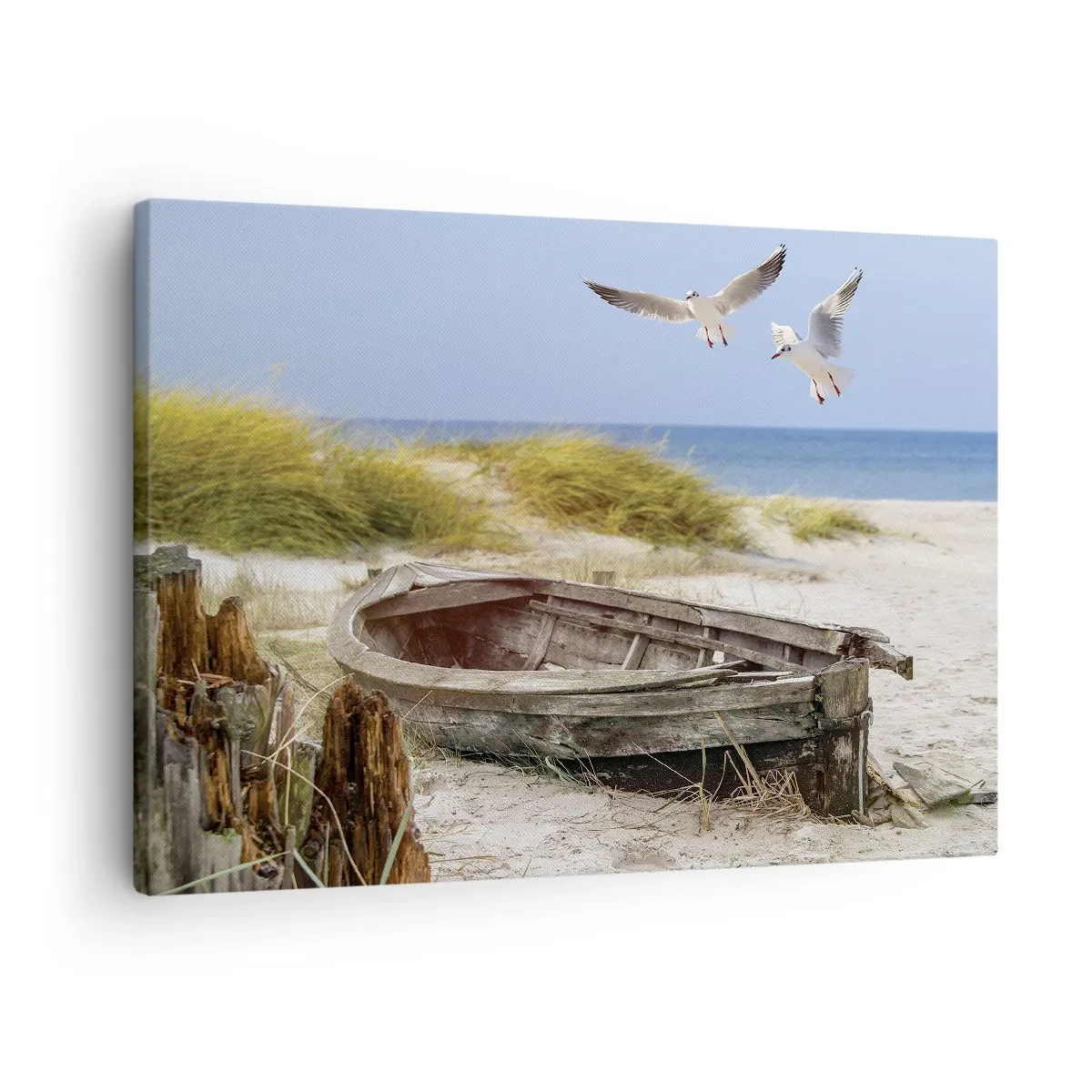 Lærredstryk - Billede på lærred - Forladt båd på en strand med måger - 70x50cm - Badet i vinden - Moderne vægdekoration til stue og soveværelse ARTTOR
