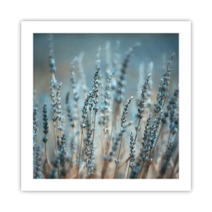 Plakat - Duftende plet - 50x50 cm