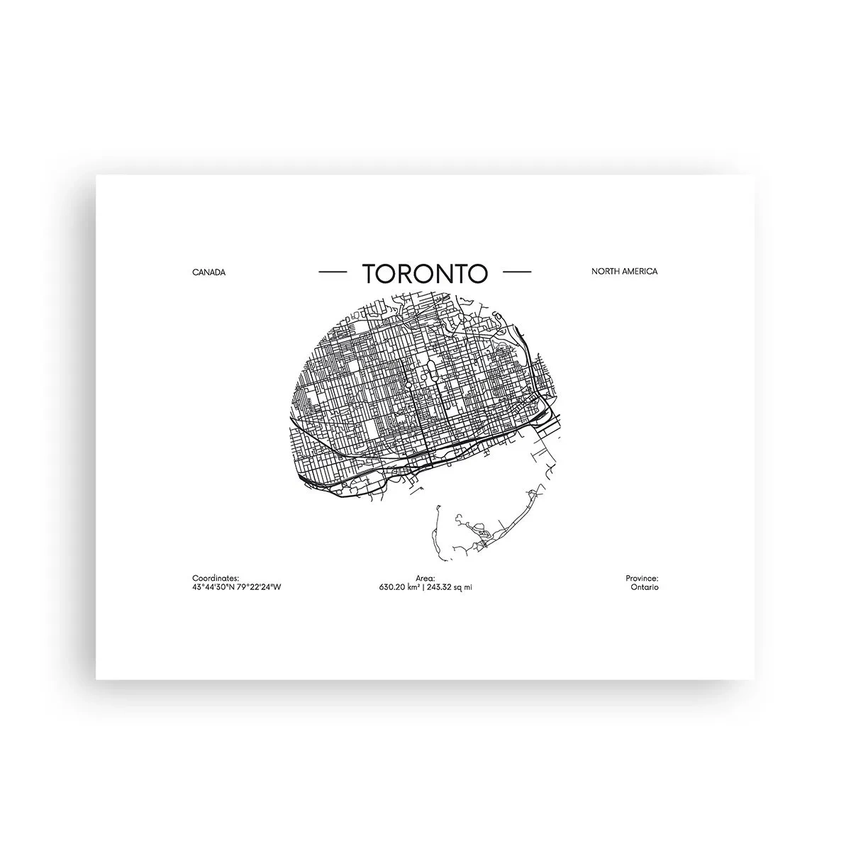 Plakat - Anatomi af Toronto - 40x30 cm