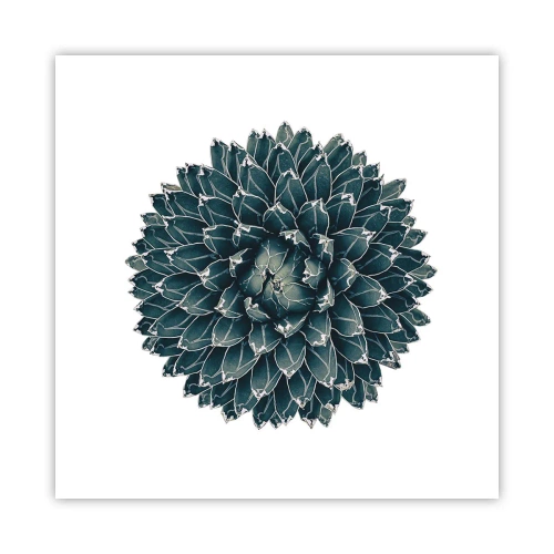 Plakat - Ørkenstjerne - 50x50 cm