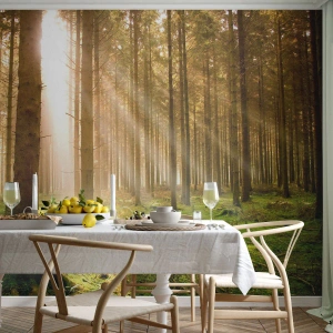Fototapet Premium Sand - Nisserne er ved at dukke op - Skov, Solens stråler, Natur - 200x140 cm