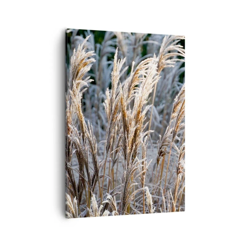 Lærredstryk - Billede på lærred - Pyntet med frost - 50x70 cm