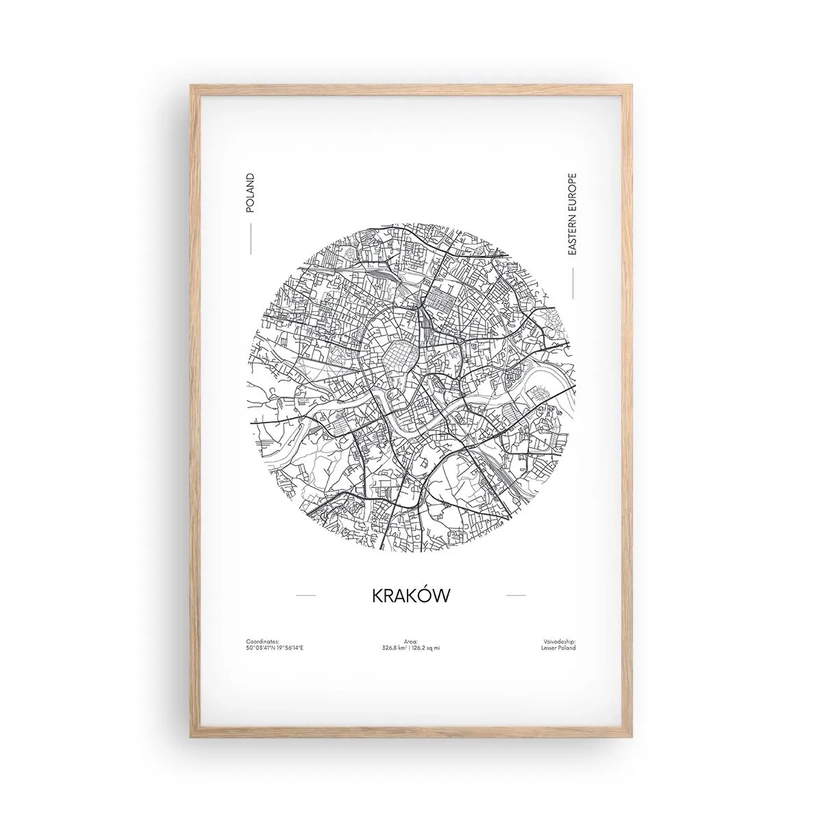 Plakat i ramme af lyst egetræ - Krakows anatomi - 61x91 cm