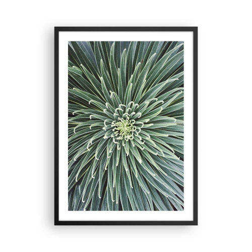 Plakat i sort ramme - Et nærbillede af en grøn plante med symmetriske blade. - 50x70cm - En stjernes fødsel - Moderne vægdekoration til stue og soveværelse ARTTOR