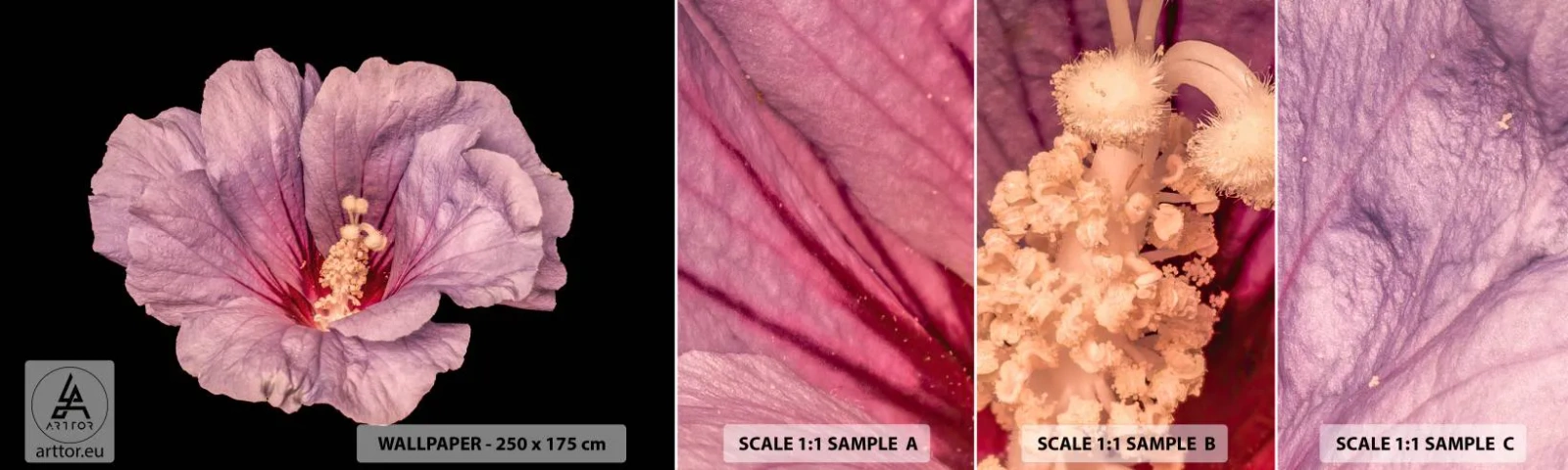 Prøve Fototapet Selvklæbende Deluxe Sticker - Lige i hjertet - Blomst, Stykke, Grafik - 100x30 cm