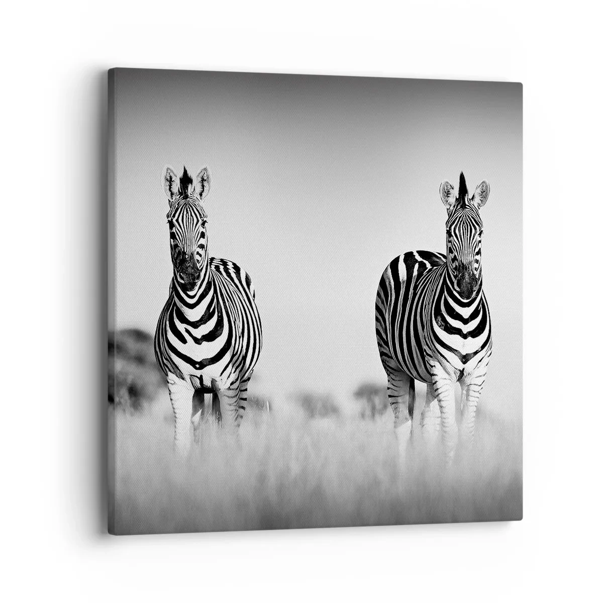 Lærredstryk - Billede på lærred - Og alligevel er verden sort og hvid - 40x40 cm