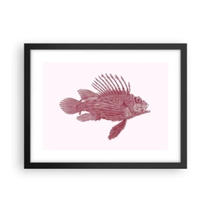 Plakat i sort ramme - En beboer i eksotiske farvande - 40x30 cm