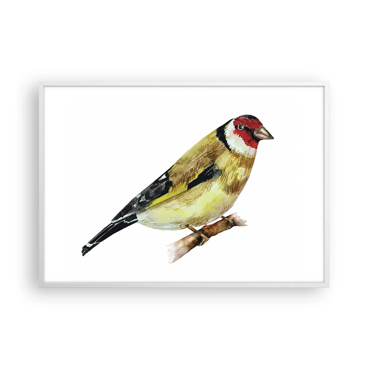 Plakat i hvid ramme - Portræt af en fugl - 100x70 cm