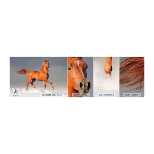 Prøve Fototapet Selvklæbende Deluxe Sticker - Dansende ynde - Dyr, Hest, Natur - 100x30 cm