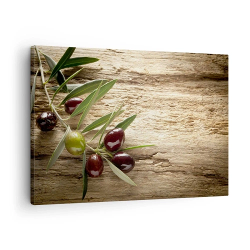 Lærredstryk - Billede på lærred - Olivengren med frugt på en baggrund af ældet træ - 70x50cm - Lige fra naturen - Moderne vægdekoration til stue og soveværelse ARTTOR
