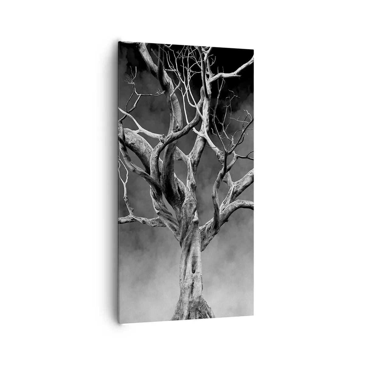 Lærredstryk - Billede på lærred - Primær og hellig - 65x120 cm