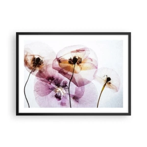 Plakat i sort ramme - Blomsterlegeme dias - 70x50 cm