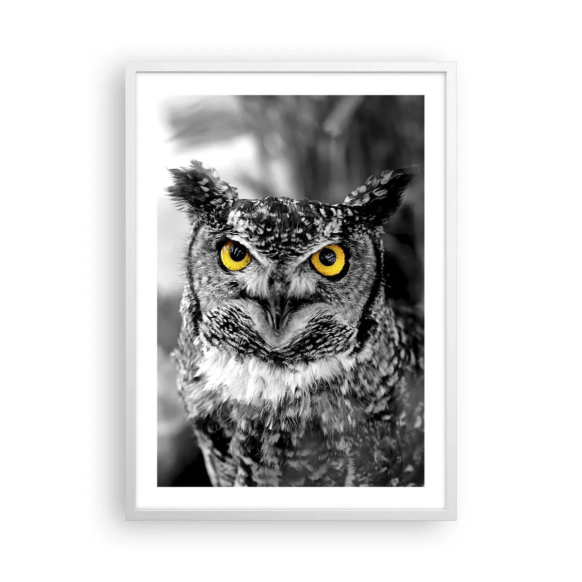 Plakat i hvid ramme - Intet kan skjules - 50x70 cm